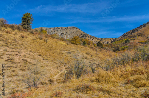 rocky trail on the slopes of Chimgan mountain (Bostanliq district, Tashkent region, Uzbekistan) photo