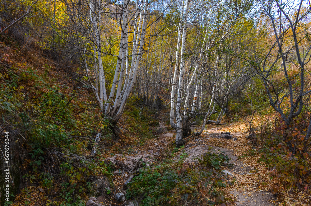 rocks and trees on Sandy Pass trail on Chimgan mountains in autumn (Bostanliq district, Tashkent region, Uzbekistan)