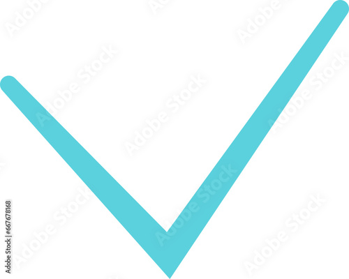 Confirm  icon
