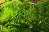 Top view of rice terrace in Pabongpiang Chiang Mai, Thailand