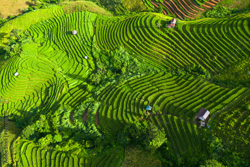 Top view of rice terrace in Pabongpiang Chiang Mai, Thailand photo