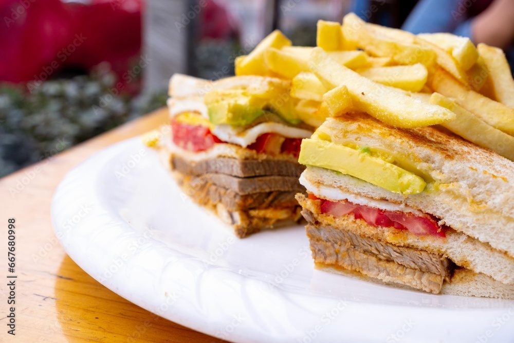 a sandwich and fries with french fries on a white plate a sandwich and fries with french fries on a white plate