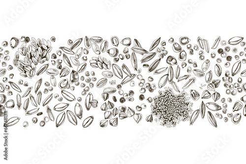 Cereal crop seeds monochrome seamless border