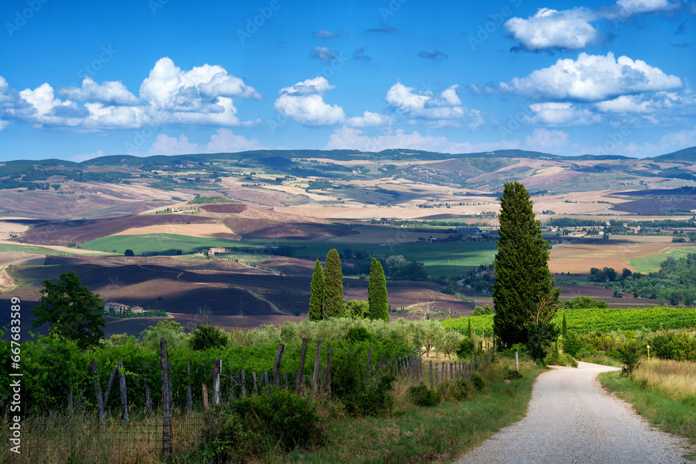 Naklejka premium Rural landscape in Tuscany near San Quirico d Orcia
