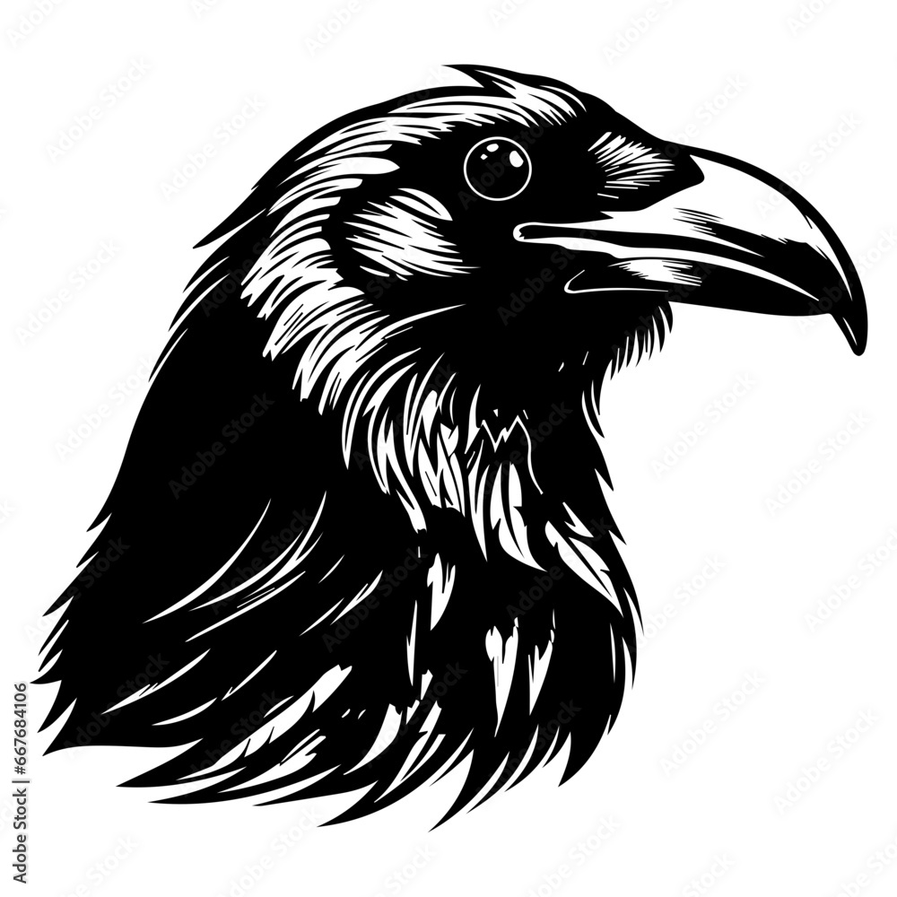 Obraz premium black raven bird in different poses cartoon crow design flat vector animal illustration isolated on white background.