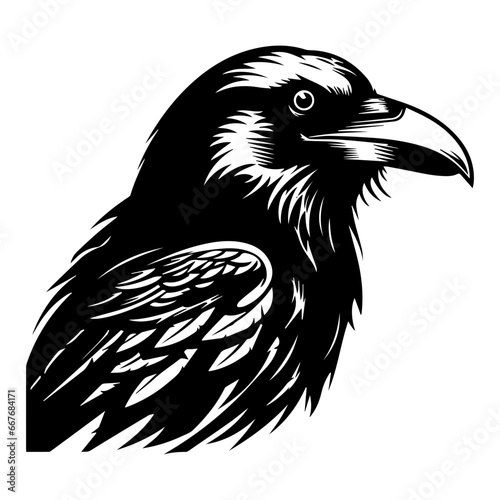 black raven bird in different poses cartoon crow design flat vector animal illustration isolated on white background.