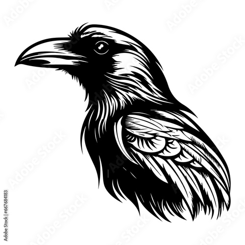 black raven bird in different poses cartoon crow design flat vector animal illustration isolated on white background.