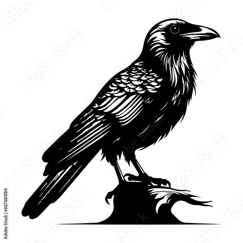black raven bird in different poses cartoon crow design flat vector animal illustration isolated on white background.