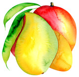 Mango ilustracja