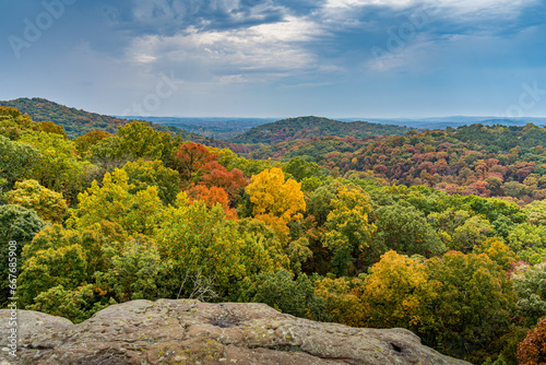 Autumn Tree Colors