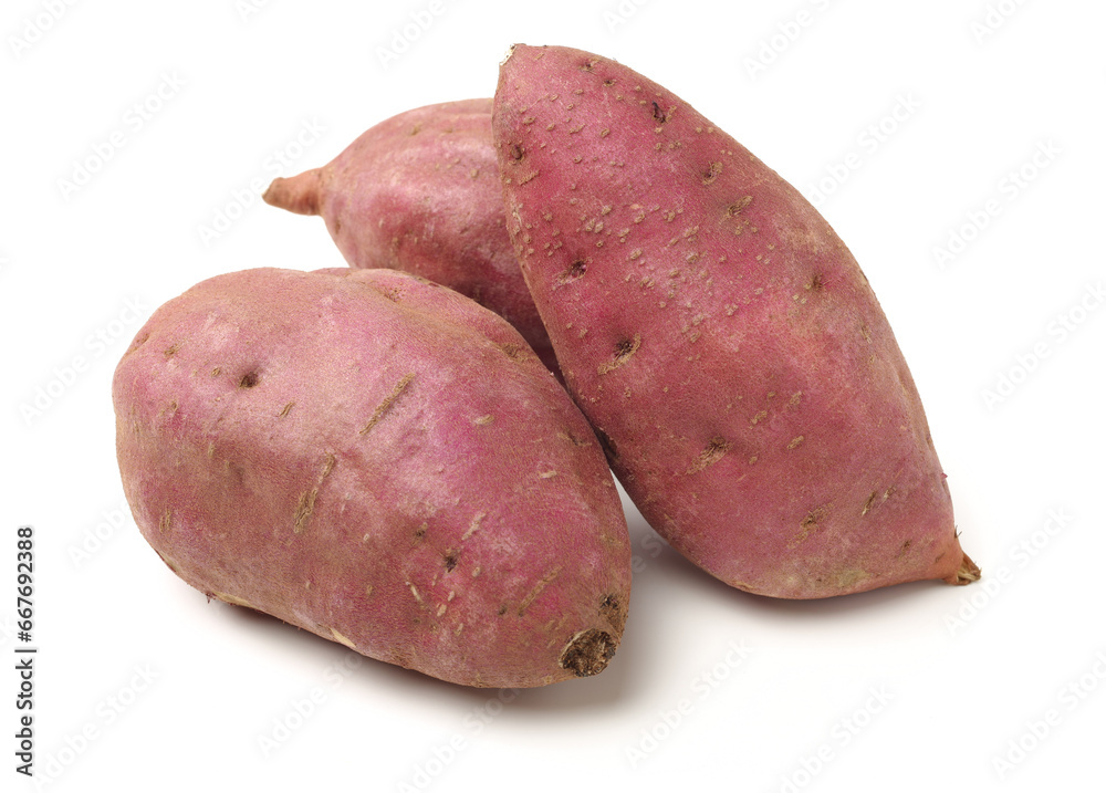 sweet potato on the white background sweet potato on the white background