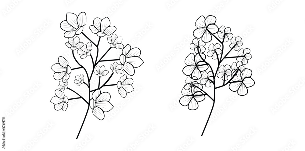 Fototapeta premium Black silhouettes of grass, flowers and herbs, pro Vector