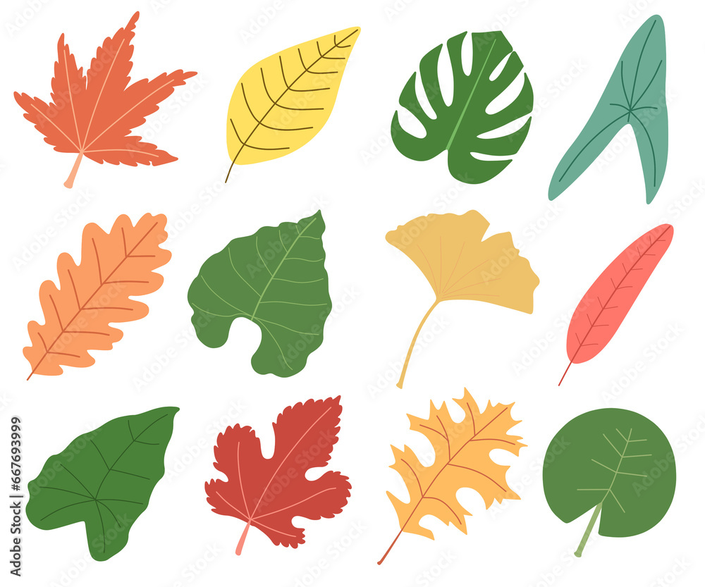Obraz premium Leaves Clipart Set. Colorful Leaves Set.