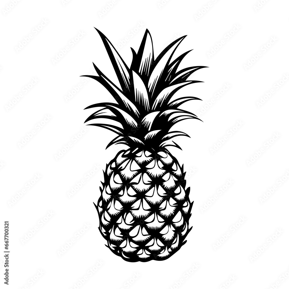 Obraz premium pineapple fruit. Vector black and white illustration.