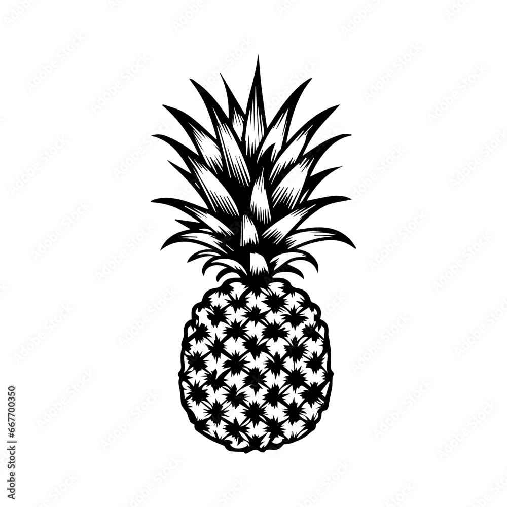 Obraz premium pineapple fruit. Vector black and white illustration.