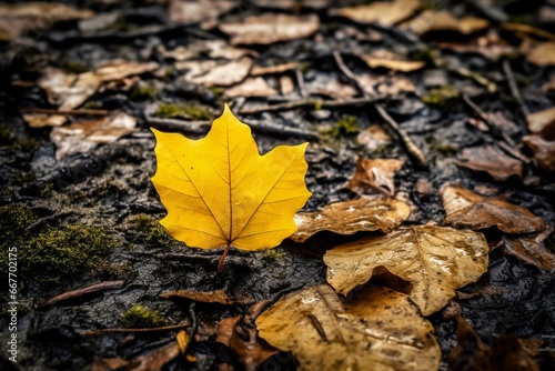 a yellow leaf on leafy ground. Generative AI