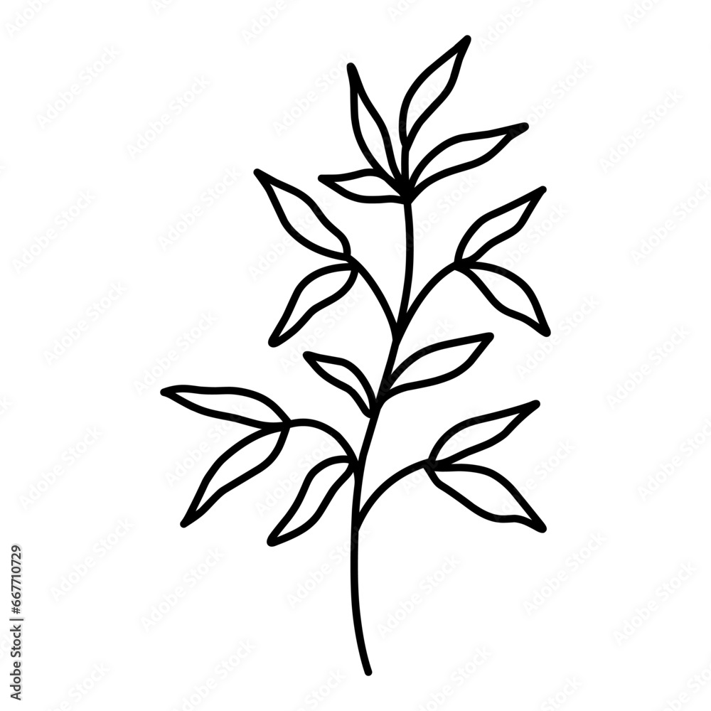 Fototapeta premium Cute branch with leaves isolated on white background. Vector hand-drawn illustration in doodle style. Perfect for cards, logo, decorations, various designs. Botanical clipart.