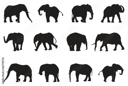 Set of elephants silhouettes vector illustration 