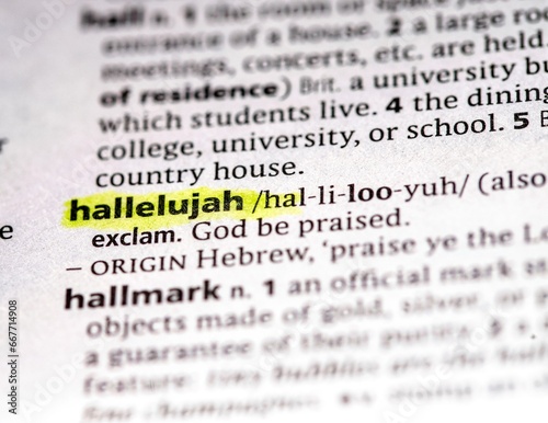 Bild auf Leinwand hallelujah