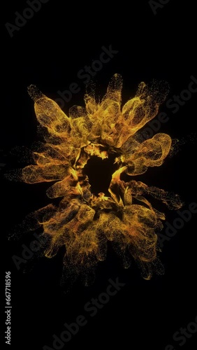 Color Burst Explosion