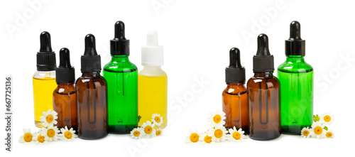 Glass bottle with chamomile essential oil isolated on white background. Chamomile flowers, close up. Aromatherapy, spa and herbal medicine ingredients. Beauty concept. Natural cosmetics