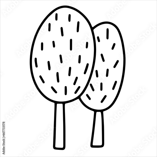 Couple of cartoon trees. Two deciduous trees. Black and white vector illustration, hand-drawn. An isolated object on a white background. Clipart, template, sketch, icon.
