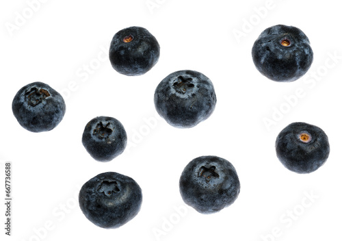 many blueberries isolated over atransparent background