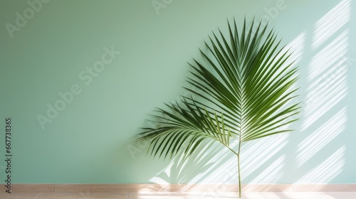 Palm Leaves Shadow on a Light Background Evoking a Sense of Serenity. AI generated