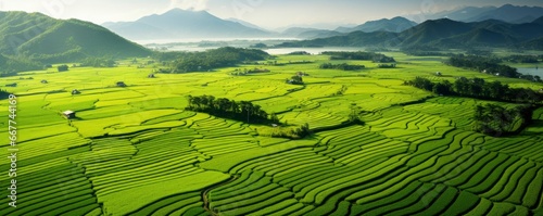 An aerial view of a vast and lush rice field, Generative AI