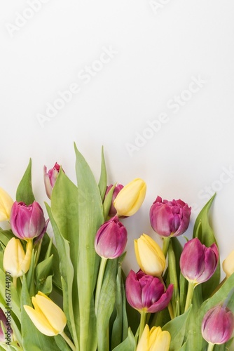 Murais de parede bouquet of tulips