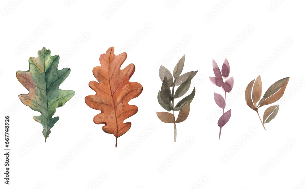 Obraz premium Set of autumn leaves, yellow leaf twigs, yellow foliage, Watercolor illustration isolated on white background