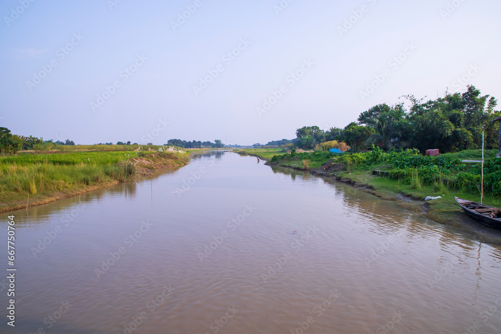 Canal with green grass and vegetation reflected in the water near Padma River in Bangladesh