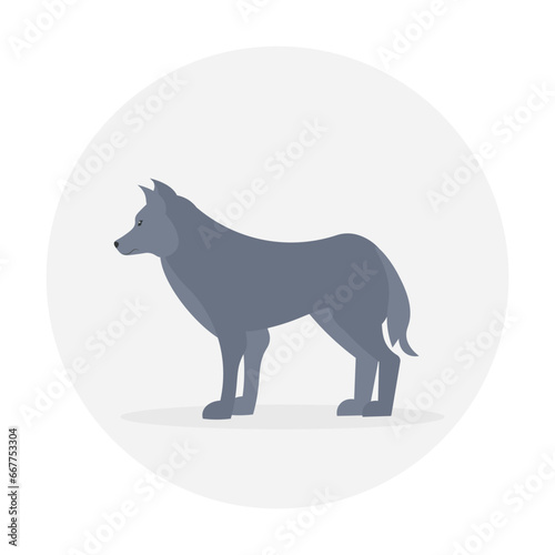 Vector wolf. Standing. Side view. Flat illustration. Suitable for animation, using in web, apps, books, education projects. No transparency, solid colors only. 
