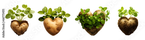 heart shaped potatoes