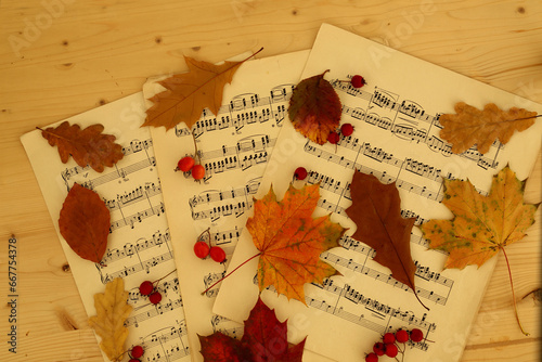 autumn leaves on old music paper