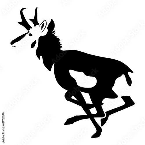Pronghorn Antelope Running