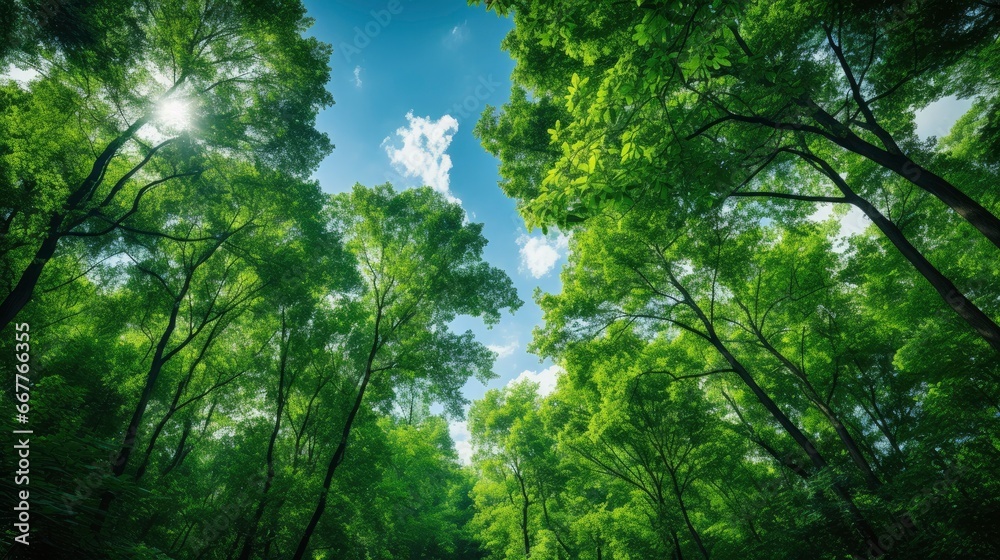 Looking up at the green tops of trees, Generative AI Looking up at the green tops of trees, Generative AI