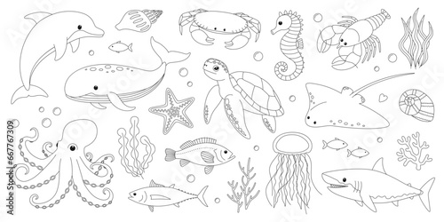 Sea and ocean animals coloring page. Cute dolphin, whale, crab, seahorse, starfish, lobster, turtle, stingray, octopus, shark, jellyfish and fish. Marine creatures outline set. Coloring book for print