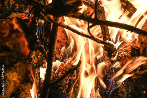 Camping fire in the forest