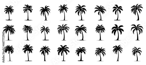 set of silhouettes of palm trees. tree bundle set. isolated on a white background.