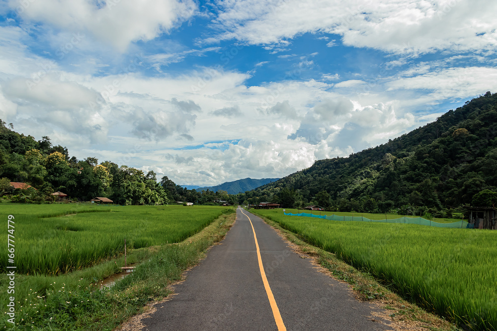 Country road or mountain middle road, Beautiful blue sky and cloud with green tree.