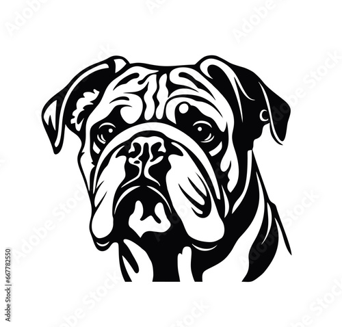 Vector isolated one single sitting Bulldog English American dog head front view black and white bw two colors silhouette. Template for laser engraving or stencil, print for t shirt	