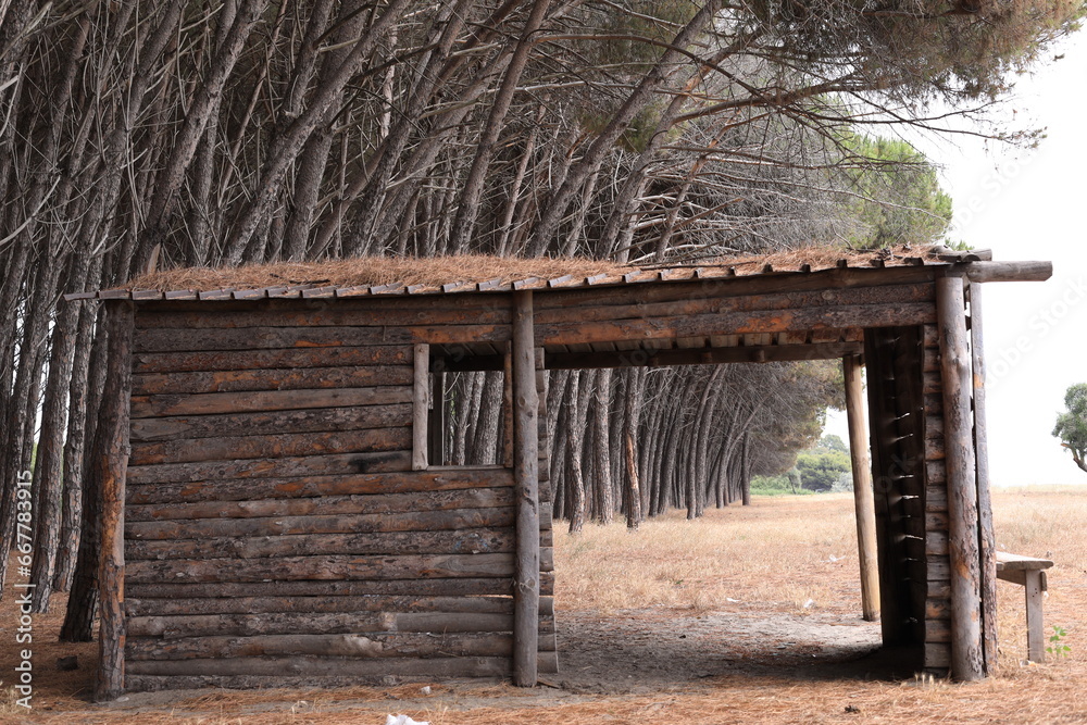 wooden house in the wood
