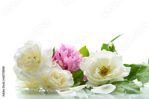 bouquet of summer white roses and peonies © Peredniankina