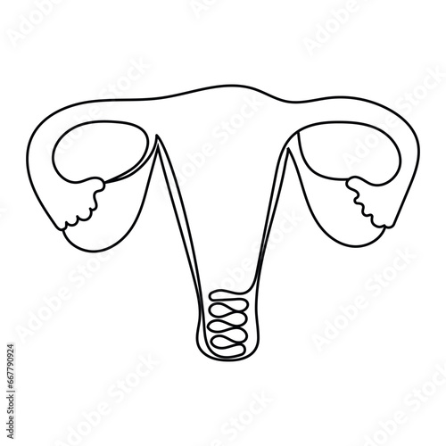 The human uterus is drawn in a continuous line style, in one line. Vector illustration, icon.