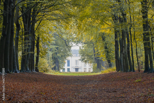 Nijenburg House in Heiloo is situated on the estate of the same name, located in Heiloo. Once used as a country estate, nowadays a museum is located in this beautiful building. photo