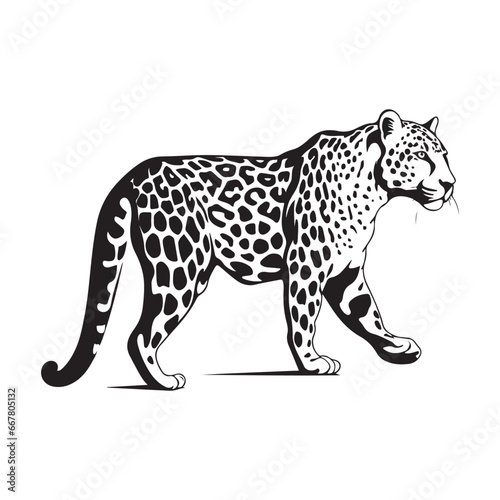 Cheetah Vector Image, Art, Design, illustration