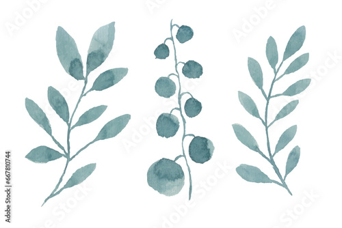 Watercolor leaves illustration set - green leaf branches collection for wedding, greetings, stationary, wallpapers, fashion, background. olive, green leaves, Eucalyptus etc
