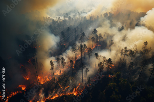 Fire in the forest bird's-eye at daylight. Burning trees and smoke. Environmental disaster