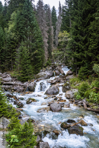 Swift mountain river deep in the forest  beautiful nature  Caucasus  Dombai  Russia